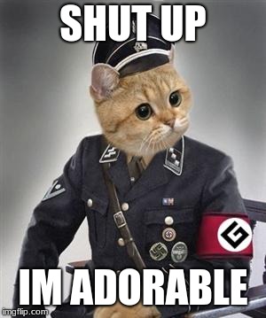 Grammar Nazi Cat | SHUT UP; IM ADORABLE | image tagged in grammar nazi cat | made w/ Imgflip meme maker