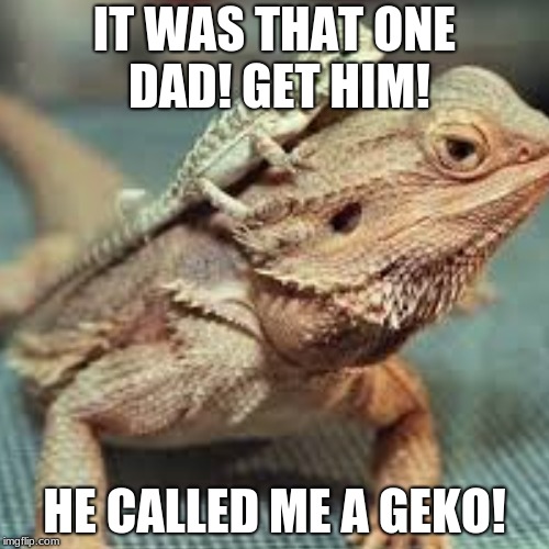 it was that one | IT WAS THAT ONE DAD! GET HIM! HE CALLED ME A GEKO! | image tagged in bearded dragon,it was that one,get him | made w/ Imgflip meme maker