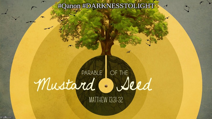 #WWG1WGA 
The Parable of The Mustard Seed | #Qanon #DARKNESSTOLIGHT | image tagged in life,the great sphinx,american politics,anti-politics,jesus,jesus christ | made w/ Imgflip meme maker