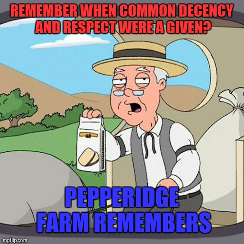Way back when | REMEMBER WHEN COMMON DECENCY AND RESPECT WERE A GIVEN? PEPPERIDGE FARM REMEMBERS | image tagged in memes,pepperidge farm remembers | made w/ Imgflip meme maker