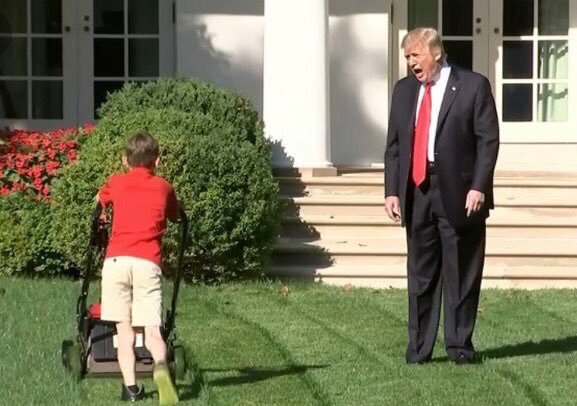 High Quality Lawn Kid Blank Meme Template