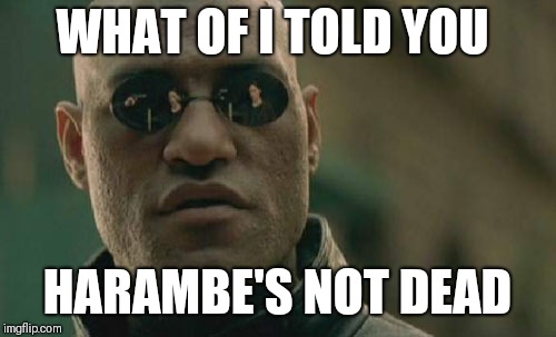 Matrix Morpheus Meme | WHAT OF I TOLD YOU; HARAMBE'S NOT DEAD | image tagged in memes,matrix morpheus | made w/ Imgflip meme maker