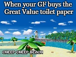 Great Value | When your GF buys the Great Value toilet paper | image tagged in cheep cheep beach,greatvalue | made w/ Imgflip meme maker