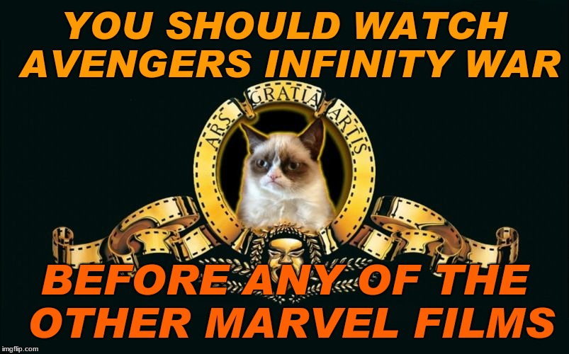 Otherwise you won't get everything... | YOU SHOULD WATCH AVENGERS INFINITY WAR; BEFORE ANY OF THE OTHER MARVEL FILMS | image tagged in mgm grumpy,movie humor,grumpy cat,original memes | made w/ Imgflip meme maker