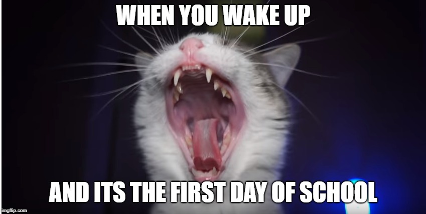 screaming cat | WHEN YOU WAKE UP; AND ITS THE FIRST DAY OF SCHOOL | image tagged in giveuahint | made w/ Imgflip meme maker