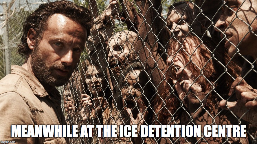 Zombie Fence | MEANWHILE AT THE ICE DETENTION CENTRE | image tagged in zombie fence | made w/ Imgflip meme maker