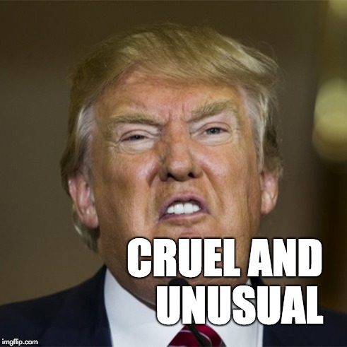 Trump is cruel and unusual. | CRUEL AND UNUSUAL | image tagged in donald trump,trump,immigration,cruel,unusual | made w/ Imgflip meme maker