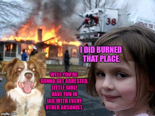 This is why you have to listen. | I DID BURNED THAT PLACE. WELL YOU'RE GONNA GET ARRESTED, LITTLE GIRL! HAVE FUN IN JAIL WITH EVERY OTHER ARSONIST. | image tagged in chili the border collie,dogs,disaster girl,border collie,burn | made w/ Imgflip meme maker