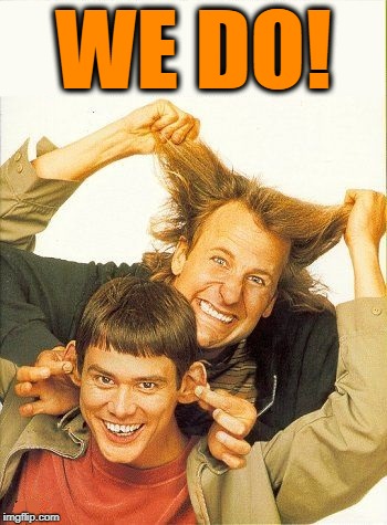 DUMB and dumber | WE DO! | image tagged in dumb and dumber | made w/ Imgflip meme maker