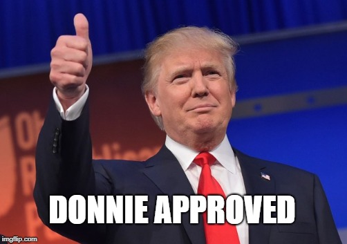 DONNIE APPROVED | made w/ Imgflip meme maker