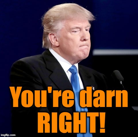 You're darn RIGHT! | made w/ Imgflip meme maker