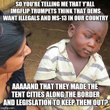 Third World Skeptical Kid Meme | SO YOU'RE TELLING ME THAT Y'ALL IMGFLIP TRUMPETS THINK THAT DEMS WANT ILLEGALS AND MS-13 IN OUR COUNTRY; AAAAAND THAT THEY MADE THE TENT CITIES ALONG THE BORDER AND LEGISLATION TO KEEP THEM OUT? | image tagged in memes,third world skeptical kid | made w/ Imgflip meme maker