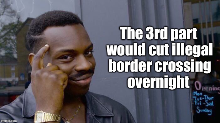 Roll Safe Think About It Meme | The 3rd part would cut illegal border crossing overnight | image tagged in memes,roll safe think about it | made w/ Imgflip meme maker