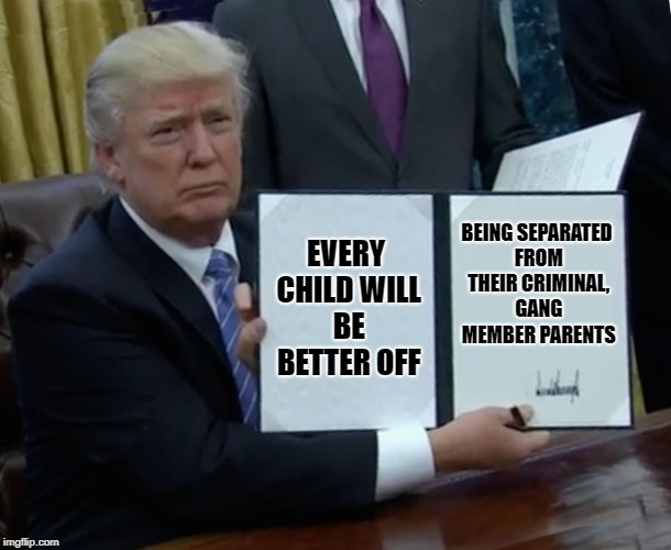 Trump Bill Signing Meme | EVERY CHILD WILL BE BETTER OFF; BEING SEPARATED FROM THEIR CRIMINAL, GANG MEMBER PARENTS | image tagged in memes,trump bill signing | made w/ Imgflip meme maker