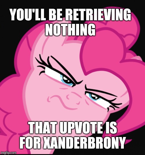 YOU'LL BE RETRIEVING NOTHING THAT UPVOTE IS FOR XANDERBRONY | made w/ Imgflip meme maker