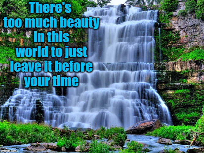 There's too much beauty in this world to just leave it before your time | made w/ Imgflip meme maker
