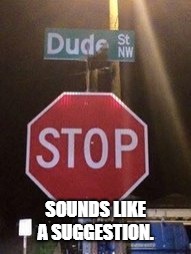 You have my car. | SOUNDS LIKE A SUGGESTION. | image tagged in stop,stop sign,dude,the dude,what in tarnation | made w/ Imgflip meme maker