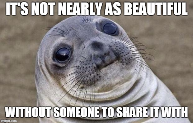 Awkward Moment Sealion Meme | IT'S NOT NEARLY AS BEAUTIFUL WITHOUT SOMEONE TO SHARE IT WITH | image tagged in memes,awkward moment sealion | made w/ Imgflip meme maker