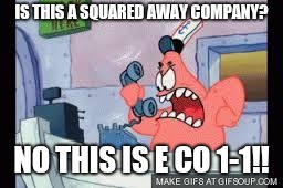 no this is patrick | IS THIS A SQUARED AWAY COMPANY? NO THIS IS E CO 1-1!! | image tagged in no this is patrick | made w/ Imgflip meme maker