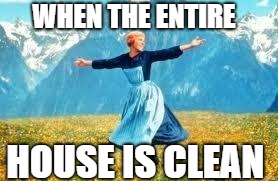 Look At All These Meme | WHEN THE ENTIRE; HOUSE IS CLEAN | image tagged in memes,look at all these | made w/ Imgflip meme maker