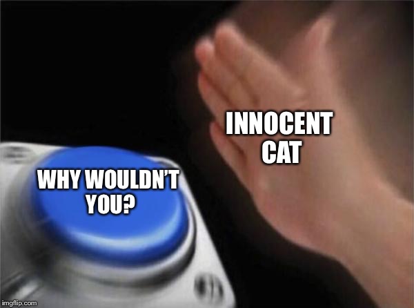 Blank Nut Button Meme | INNOCENT CAT WHY WOULDN’T YOU? | image tagged in memes,blank nut button | made w/ Imgflip meme maker