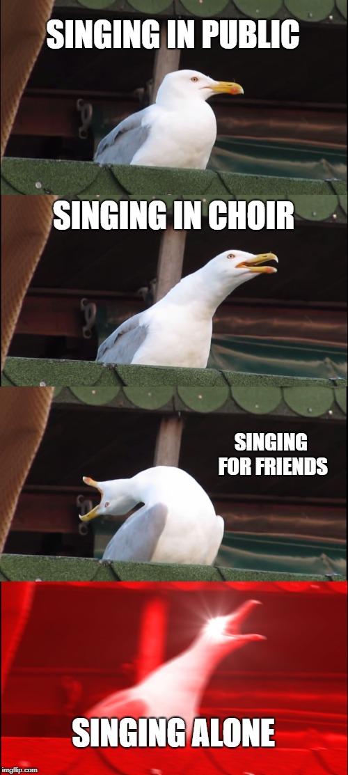 Me singing for different audiences  | SINGING IN PUBLIC; SINGING IN CHOIR; SINGING FOR FRIENDS; SINGING ALONE | image tagged in memes,inhaling seagull,singing,choir,friends | made w/ Imgflip meme maker