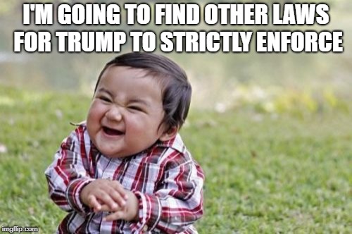 Evil Toddler Meme | I'M GOING TO FIND OTHER LAWS FOR TRUMP TO STRICTLY ENFORCE | image tagged in memes,evil toddler | made w/ Imgflip meme maker