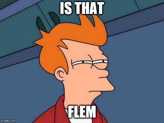 Futurama Fry Meme | IS THAT FLEM | image tagged in memes,futurama fry | made w/ Imgflip meme maker