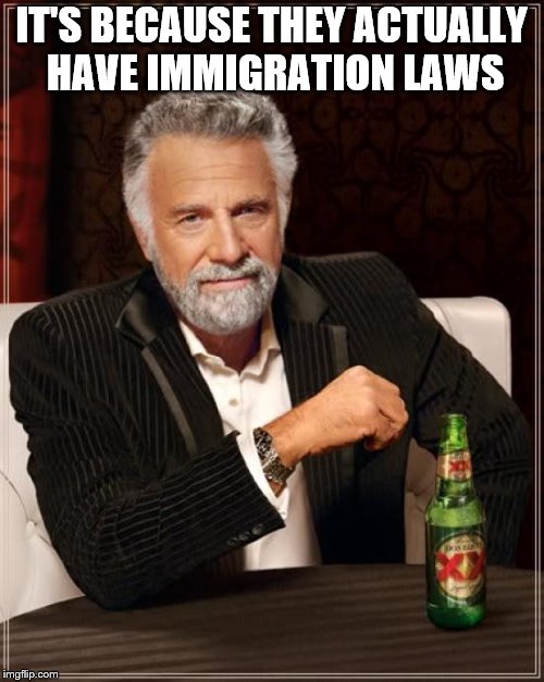 The Most Interesting Man In The World Meme | IT'S BECAUSE THEY ACTUALLY HAVE IMMIGRATION LAWS | image tagged in memes,the most interesting man in the world | made w/ Imgflip meme maker