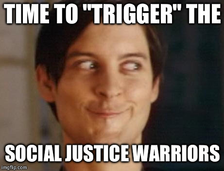 Spiderman Peter Parker | TIME TO "TRIGGER" THE; SOCIAL JUSTICE WARRIORS | image tagged in memes,spiderman peter parker | made w/ Imgflip meme maker