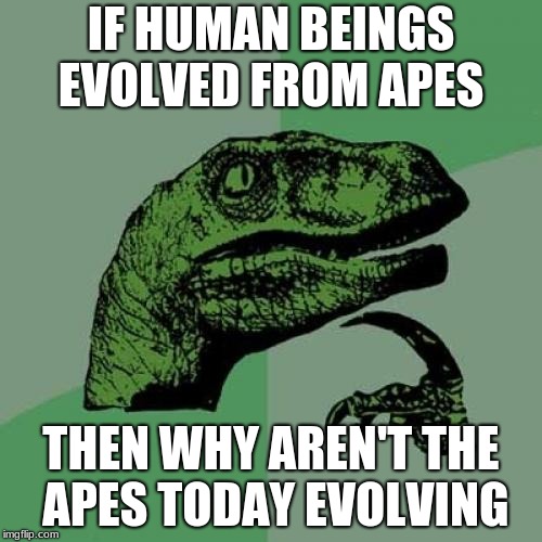 Philosoraptor | IF HUMAN BEINGS EVOLVED FROM APES; THEN WHY AREN'T THE APES TODAY EVOLVING | image tagged in memes,philosoraptor | made w/ Imgflip meme maker