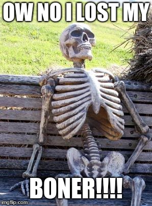 Waiting Skeleton Meme | OW NO I LOST MY; BONER!!!! | image tagged in memes,waiting skeleton | made w/ Imgflip meme maker