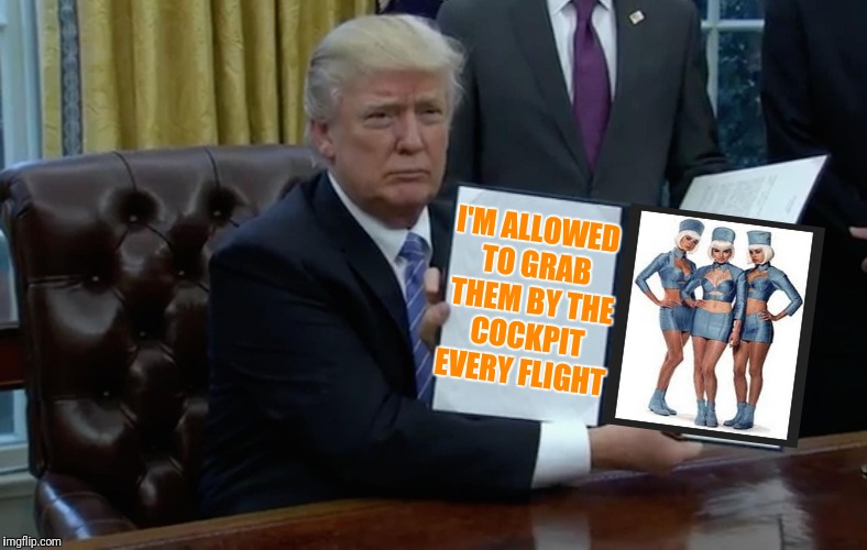 Space Forced | I'M ALLOWED TO GRAB THEM BY THE COCKPIT EVERY FLIGHT | image tagged in trump executive order blank | made w/ Imgflip meme maker
