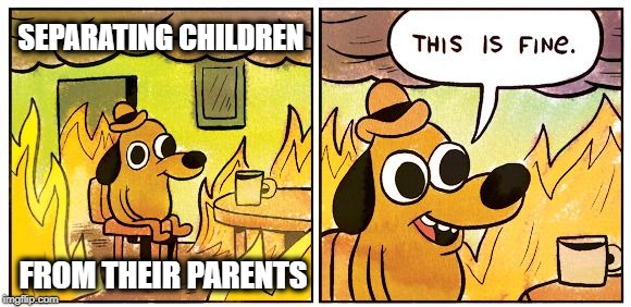 This is not right. I don't care who you are. | SEPARATING CHILDREN; FROM THEIR PARENTS | image tagged in this is fine dog,prisoners,child abuse,epic fail,wtf,human rights | made w/ Imgflip meme maker