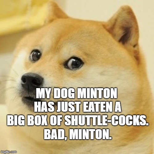 Doge | MY DOG MINTON HAS JUST EATEN A BIG BOX OF SHUTTLE-COCKS. BAD, MINTON. | image tagged in memes,doge | made w/ Imgflip meme maker