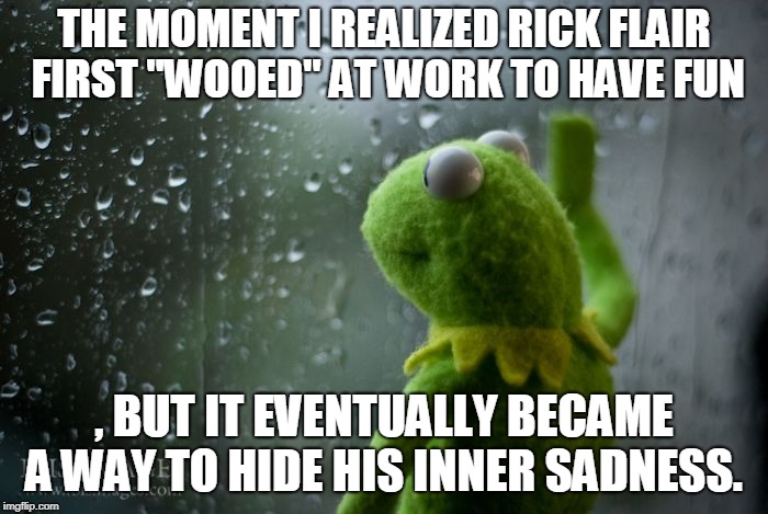 kermit window | THE MOMENT I REALIZED RICK FLAIR FIRST "WOOED" AT WORK TO HAVE FUN; , BUT IT EVENTUALLY BECAME A WAY TO HIDE HIS INNER SADNESS. | image tagged in kermit window | made w/ Imgflip meme maker