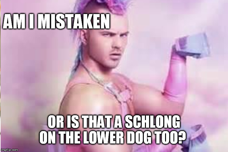 AM I MISTAKEN OR IS THAT A SCHLONG ON THE LOWER DOG TOO? | made w/ Imgflip meme maker