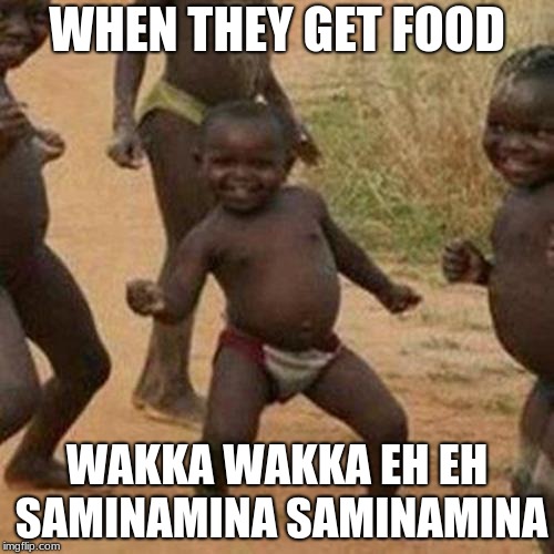 WHAHAHAHA | WHEN THEY GET FOOD; WAKKA WAKKA EH EH SAMINAMINA SAMINAMINA | image tagged in memes,third world success kid | made w/ Imgflip meme maker