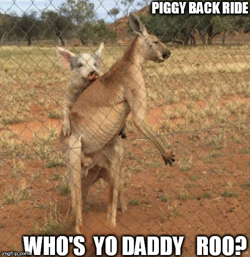 PIGGYBACK  RIDE THIS BEEOTCH! | PIGGY BACK RIDE; WHO'S  YO DADDY   ROO? | image tagged in kangaroo,peppa pig,piggyback ride | made w/ Imgflip meme maker