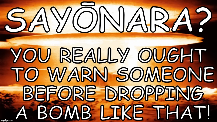 You Really Ought to Warn Someone Before Dropping a Bomb Like That! | SAYŌNARA? YOU REALLY OUGHT TO WARN SOMEONE BEFORE DROPPING A BOMB LIKE THAT! | image tagged in japanese,goodbye | made w/ Imgflip meme maker