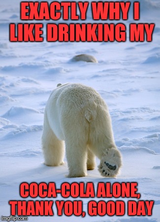Introverting..... now! | EXACTLY WHY I LIKE DRINKING MY; COCA-COLA ALONE, THANK YOU, GOOD DAY | image tagged in memes,funny,dank,polar bear,coke | made w/ Imgflip meme maker