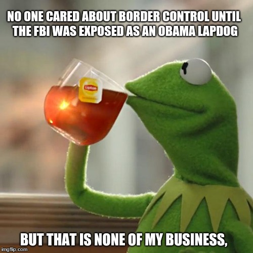 But That's None Of My Business Meme | NO ONE CARED ABOUT BORDER CONTROL UNTIL THE FBI WAS EXPOSED AS AN OBAMA LAPDOG; BUT THAT IS NONE OF MY BUSINESS, | image tagged in memes,but thats none of my business,kermit the frog | made w/ Imgflip meme maker
