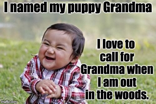 Evil Toddler Meme | I named my puppy Grandma; I love to call for Grandma when I am out in the woods. | image tagged in memes,evil toddler | made w/ Imgflip meme maker