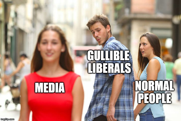 Distracted Boyfriend Meme | GULLIBLE LIBERALS; MEDIA; NORMAL PEOPLE | image tagged in memes,distracted boyfriend | made w/ Imgflip meme maker