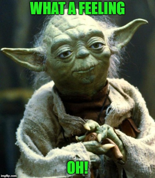 Star Wars Yoda Meme | WHAT A FEELING OH! | image tagged in memes,star wars yoda | made w/ Imgflip meme maker