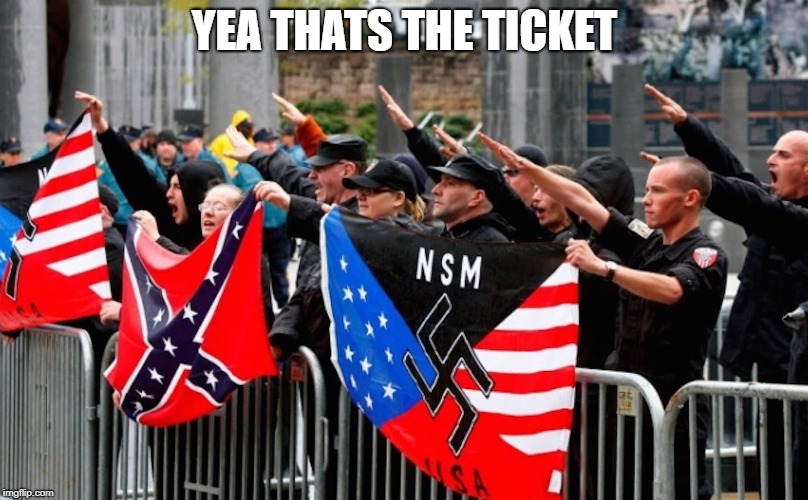 Nazi? | YEA THATS THE TICKET | image tagged in nazi | made w/ Imgflip meme maker