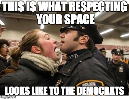 protest | THIS IS WHAT RESPECTING YOUR SPACE; LOOKS LIKE TO THE DEMOCRATS | image tagged in protest | made w/ Imgflip meme maker