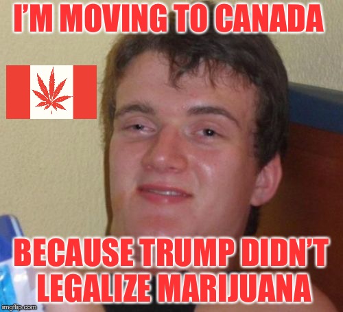 10 Guy | I’M MOVING TO CANADA; BECAUSE TRUMP DIDN’T LEGALIZE MARIJUANA | image tagged in memes,10 guy | made w/ Imgflip meme maker