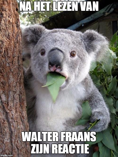 Surprised Koala Meme | NA HET LEZEN VAN; WALTER FRAANS ZIJN REACTIE | image tagged in memes,surprised koala | made w/ Imgflip meme maker