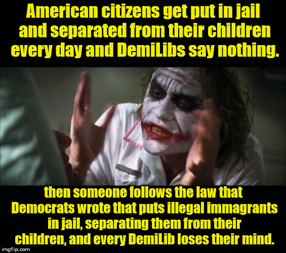 Loses Mind | American citizens get put in jail and separated from their children every day and DemiLibs say nothing. then someone follows the law that Democrats wrote that puts illegal immagrants in jail, separating them from their children, and every DemiLib loses their mind. | image tagged in loses mind | made w/ Imgflip meme maker